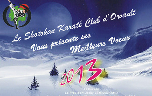 Courrier Voeux SKCO 2013